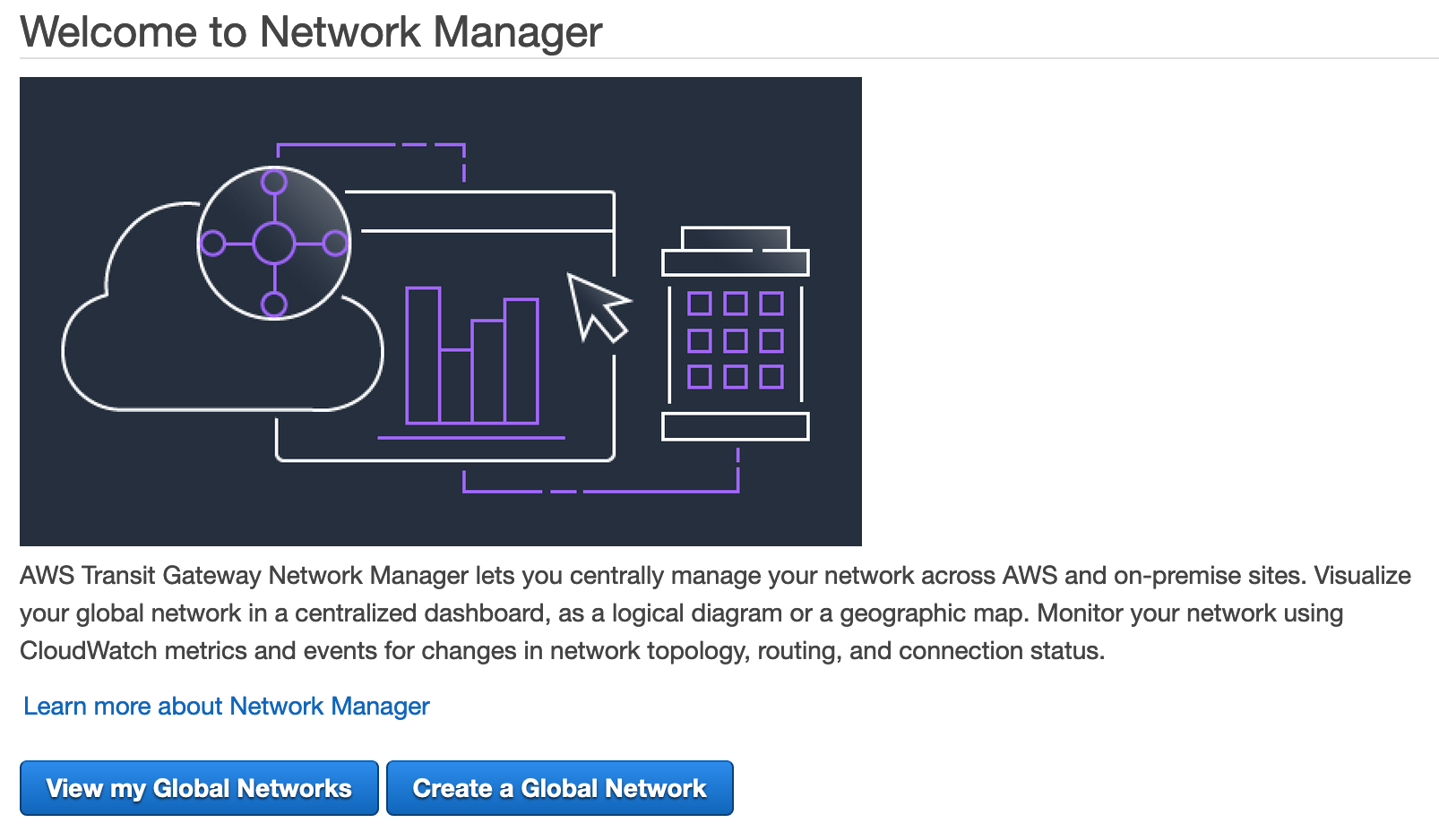 welcome to network manager